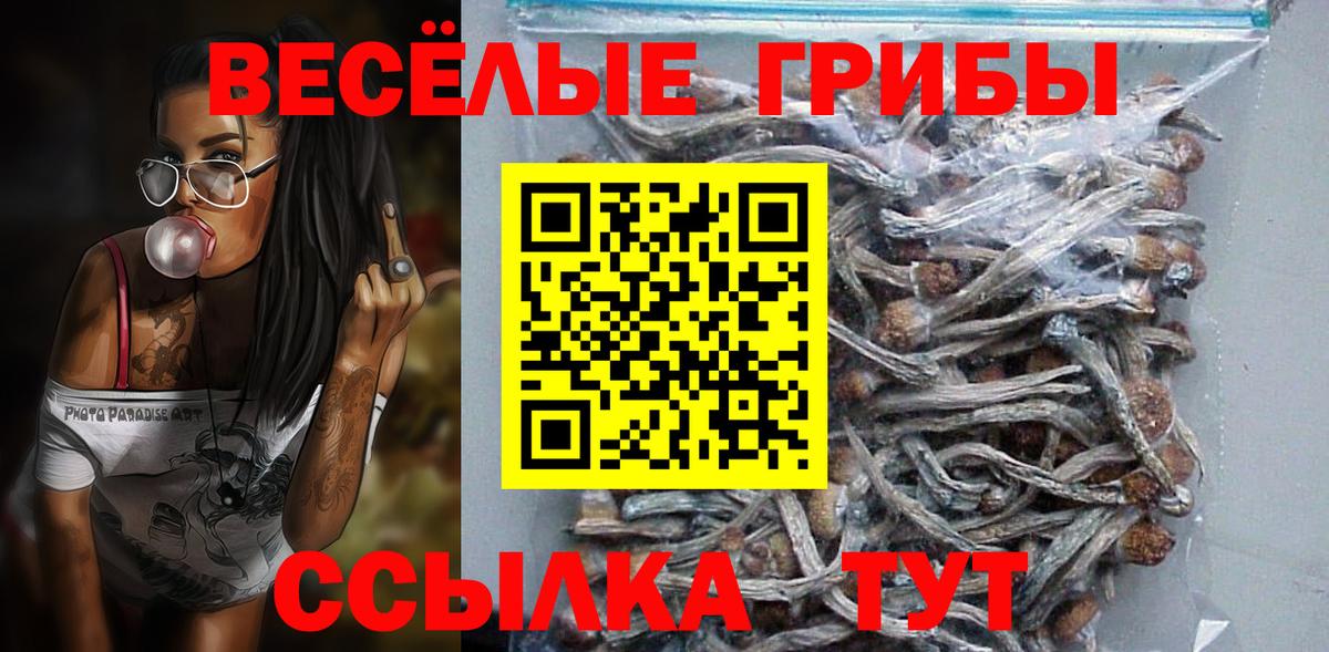 Псилоцибиновые грибы Psilocybe  Вход с VPN  Сланцы 