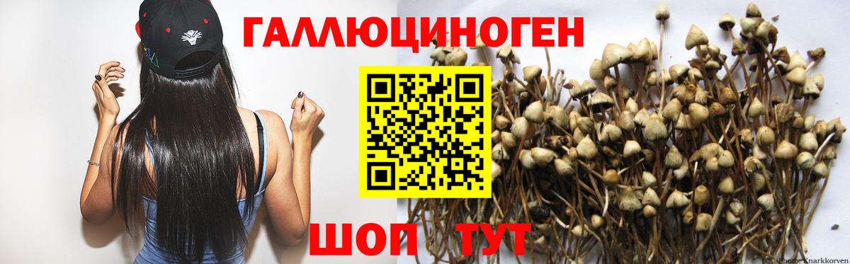 Псилоцибиновые грибы GOLDEN TEACHER Сланцы